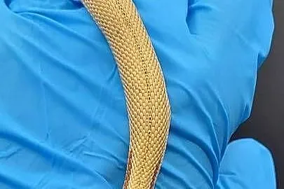 Heterodon Superconda, Śląskie, Bytom