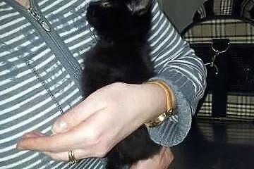 LUKRECJA Z Gangu ze Studni