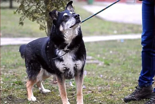 Pokochaj cudnego Rafiego :)