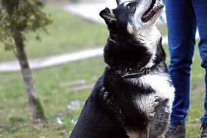 Pokochaj cudnego Rafiego :)