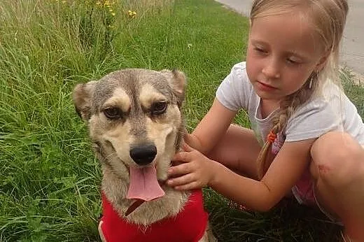 Aza- super sunia szuka domu,  wielkopolskie Poznań