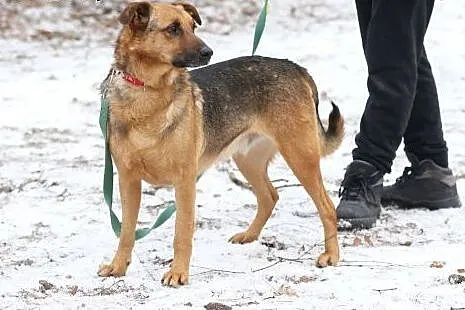 Jurek młody fajny a jednak wciąż samotny w schroni