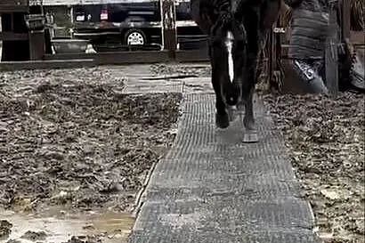 Maty stajenne na padok pod Paśnik garaż drogą tymczasowa dla koni chodnik, Mazowieckie, Warszawa