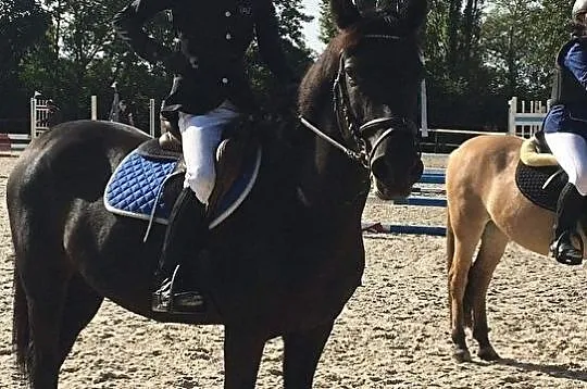 Wałah do sportu D gr., , 