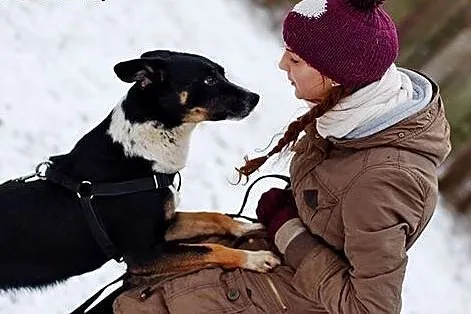Haker pilnie pilnie szuka domu FILM,  Kundelki cał