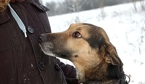 TONIA - jej smutek aż boli!