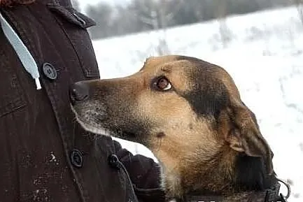 TONIA - jej smutek aż boli!