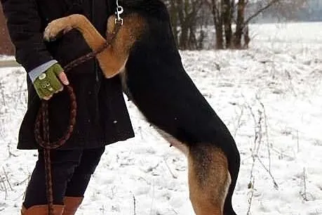 TONIA - jej smutek aż boli!