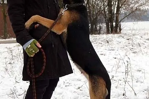 TONIA - jej smutek aż boli!