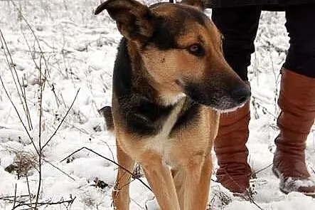 TONIA - jej smutek aż boli!