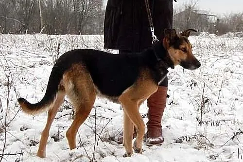 TONIA - jej smutek aż boli!