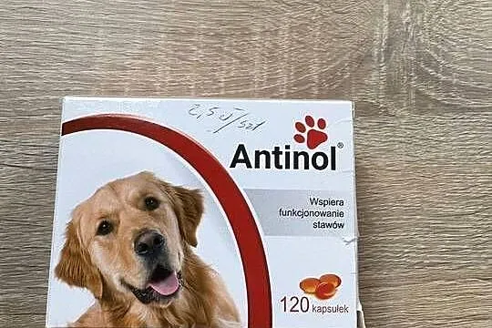 Antinol 120 kapsułek w opakowaniu