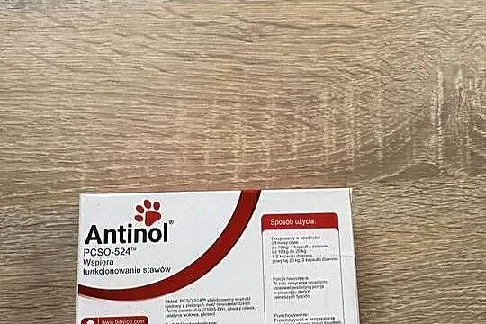 Antinol 120 kapsułek w opakowaniu, Mazowieckie, Warszawa