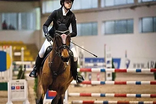 ***bezpieczny koń dla amatora: ujeżdżenie/skoki***, , Krępiec