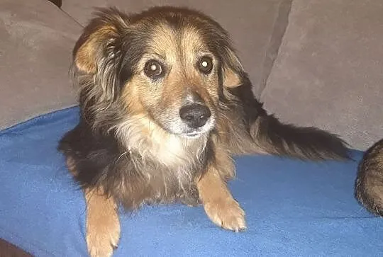 senior, Małopolskie, Kraków