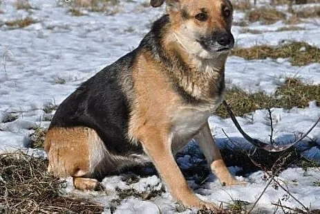 Kira- ofiaruję Ci to co mam najlepszego! ,  mazowi