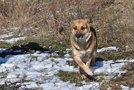 Kira- ofiaruję Ci to co mam najlepszego! ,  mazowi