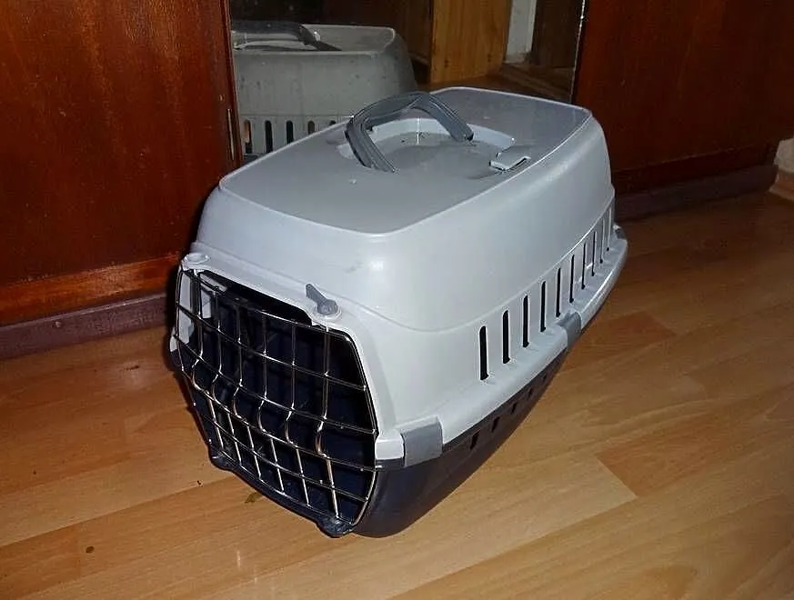 Transporter dla kota (lub innego zwierzaka), Zachodniopomorskie, Szczecin