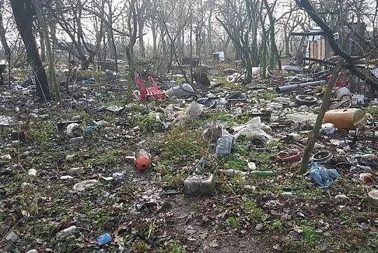 Nemo - pies, który spędził swoje życie nie widząc 