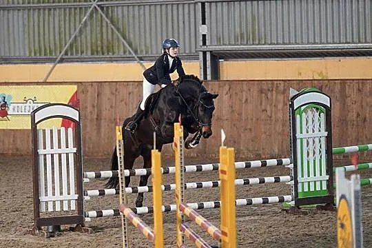 Wybitny walach do sportu, , Jelenia