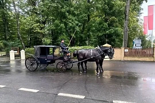 Glaslandauer Granatowy Lando Powóz Bryczka Landauer