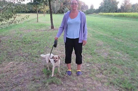 Lola, cudowna sunieczka szuka domu!