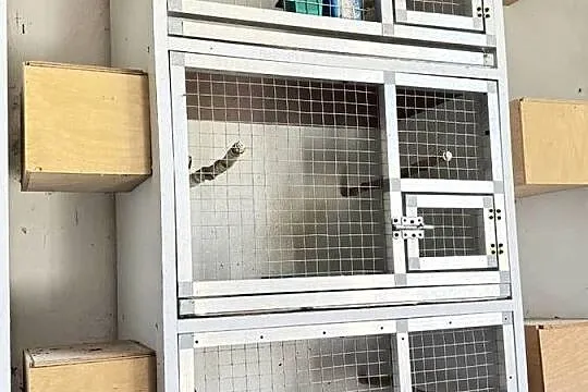 Klatki z budkami lęgowymi, Śląskie, Kozłów