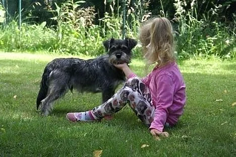 Maluch Jerry do adopcji, a może ktś go jednak szuk
