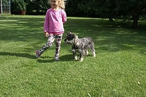 Maluch Jerry do adopcji, a może ktś go jednak szuk