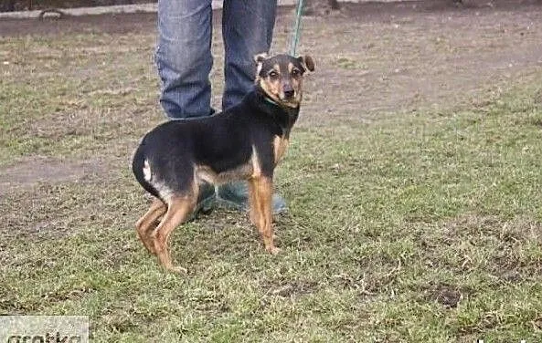 Pokochaj mnie daj mi domek gdzie zaznam szczęścia, Mazowieckie, Warszawa