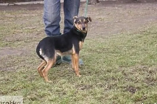 Pokochaj mnie daj mi domek gdzie zaznam szczęścia