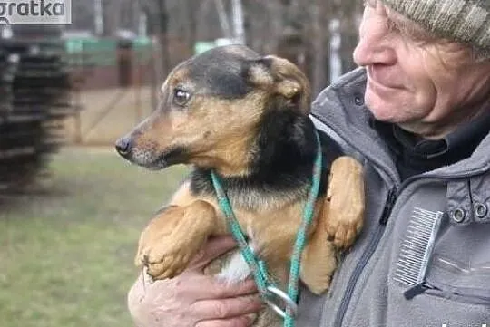 Pokochaj mnie daj mi domek gdzie zaznam szczęścia, Mazowieckie, Warszawa