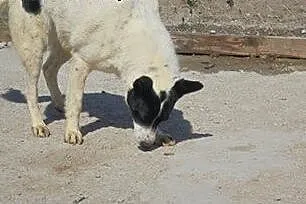Piękna Wenecja o niebanalnej urodzi.Kto się zakoch