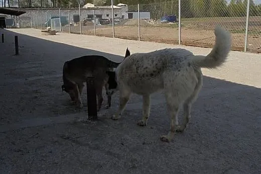 Piękna Wenecja o niebanalnej urodzi.Kto się zakoch