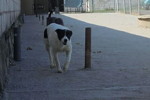 Piękna Wenecja o niebanalnej urodzi.Kto się zakoch