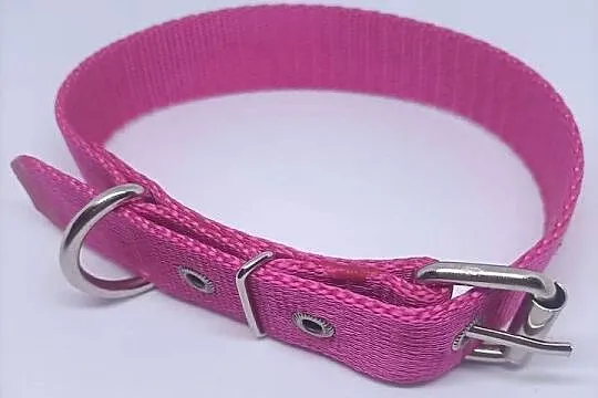 Obroża dla psa 25mm/65cm, Lubuskie, Gorzów Wielkopolski