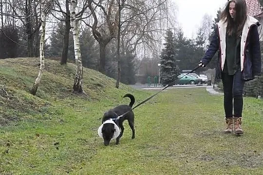 Gucio czeka na Ciebie