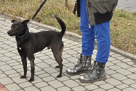 Gucio czeka na Ciebie