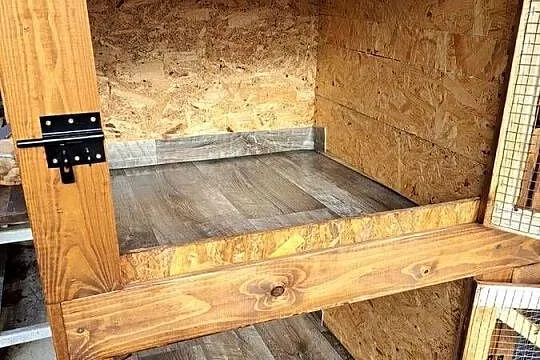 Klatka dla królików, Podkarpackie, Budy Łańcuckie