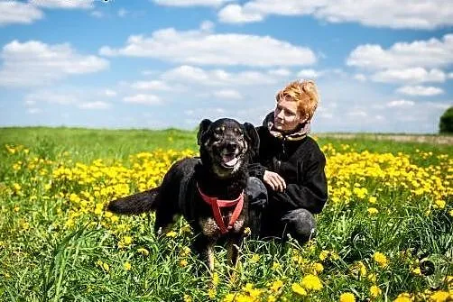 WŁODEK - w miłości się nie gubi, szuka domu jako d