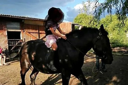 Spokojna klacz, Lubelskie, Hrubieszów