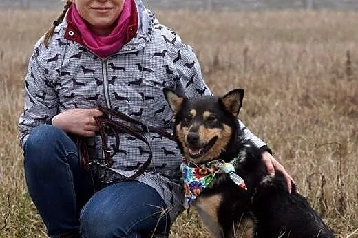 Wesoła, grzeczna Wegeta, pokochaj, ona odda Ci ser