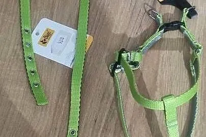 Zestaw dla psa 2x obroża 1x szelki zielone, Mazowieckie, Kaliszki