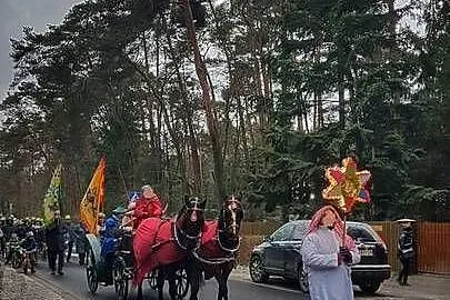 Klacz śląska źrebna 10 lat gniada, Łódzkie, Ozorków