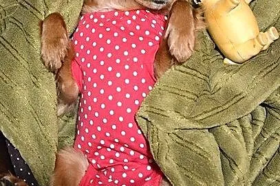 Prześliczna, maluśka Miszka :)