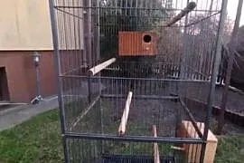 Klatka duża dla papug