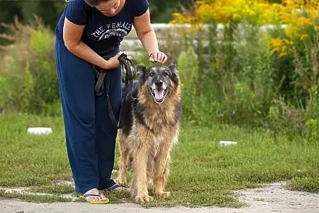 KLARA – stateczna dama szuka ludzi, któr