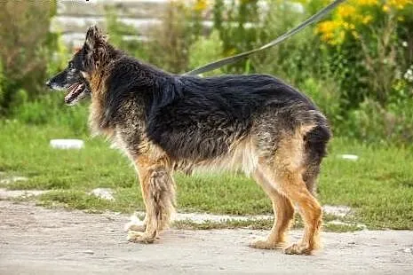 KLARA – stateczna dama szuka ludzi, któr