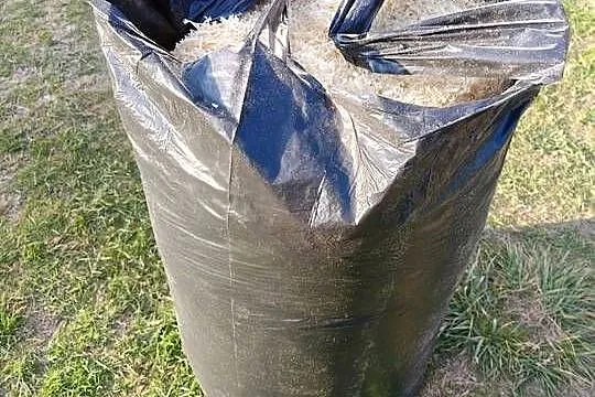 Trociny dla gryzoni., Małopolskie, Strumiany