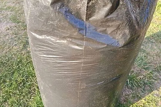 Trociny dla gryzoni., Małopolskie, Strumiany